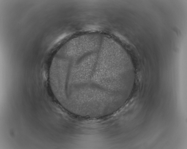 X0000113291206200910131019