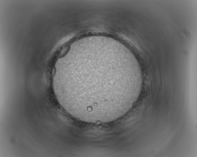 X0000113291207200910131019