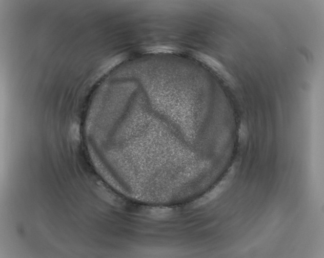 X0000113291209200910131019