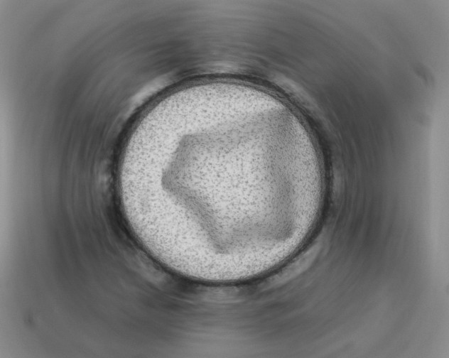 X0000113291210200910131019