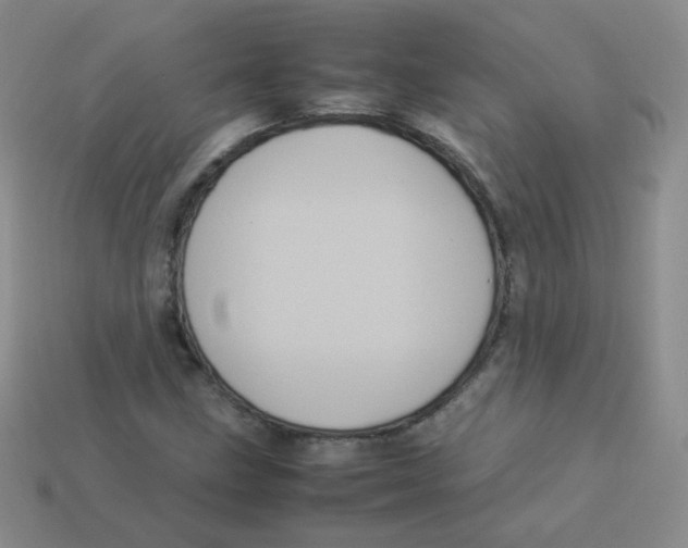 X0000113291211200910131019