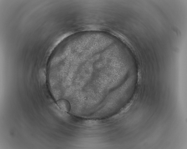 X0000113291212200910131019