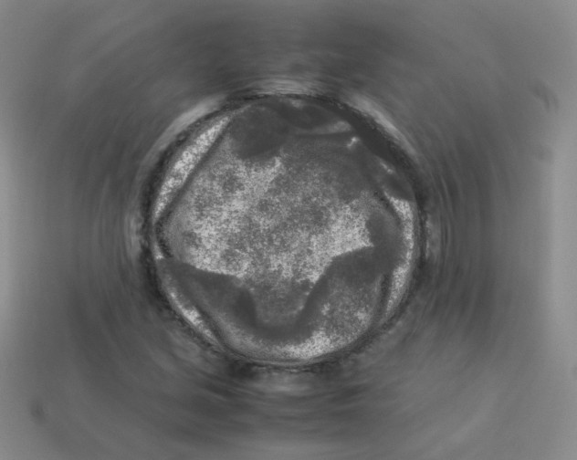 X0000113291213200910131019