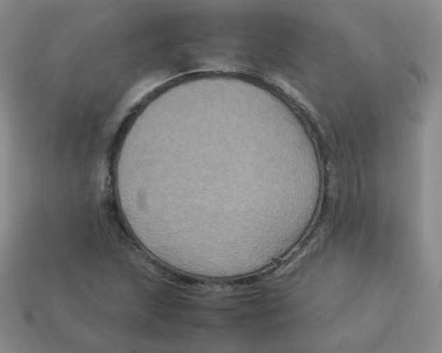 X0000113291215200910131019