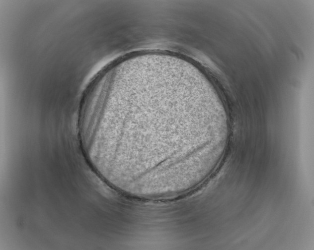 X0000113291216200910131019