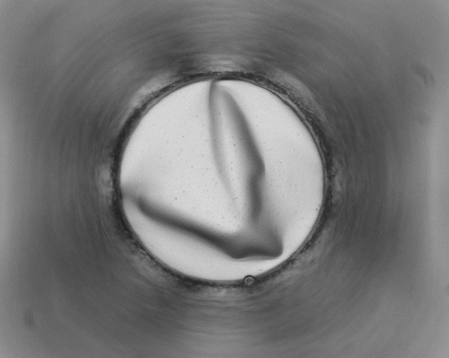 X0000113291218200910131019