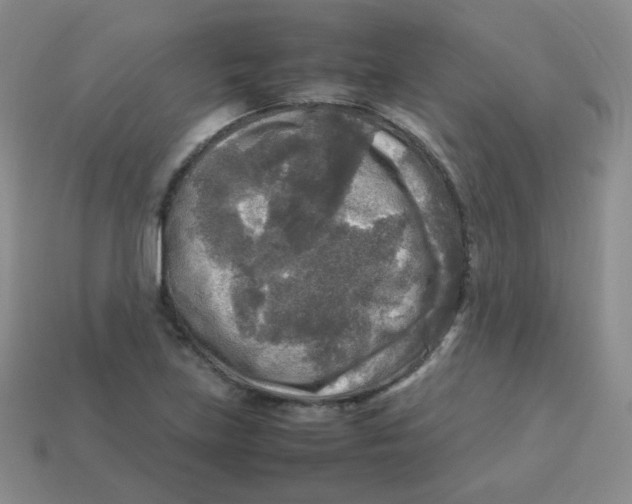 X0000113291219200910131019