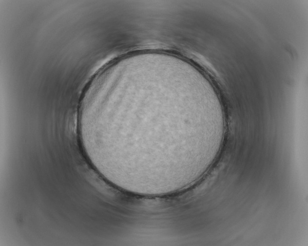 X0000113291220200910131019