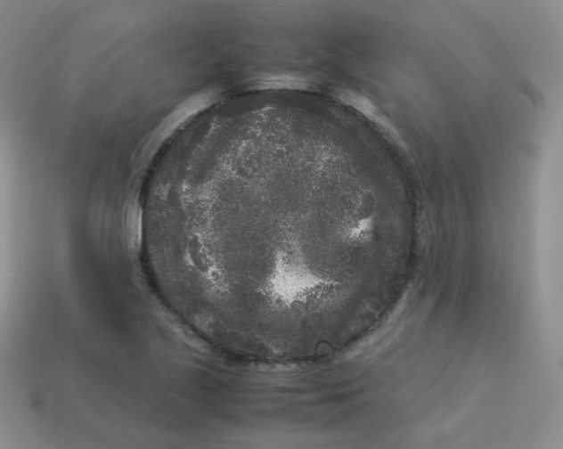 X0000113291221200910131019