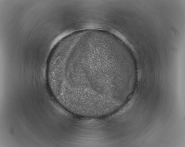 X0000113291222200910131019