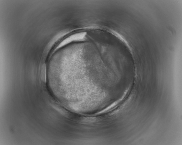 X0000113291223200910131019