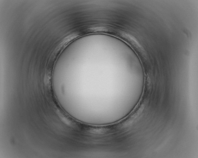X0000113291225200910131019