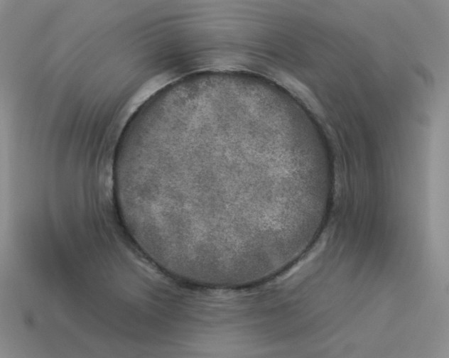 X0000113291226200910131019