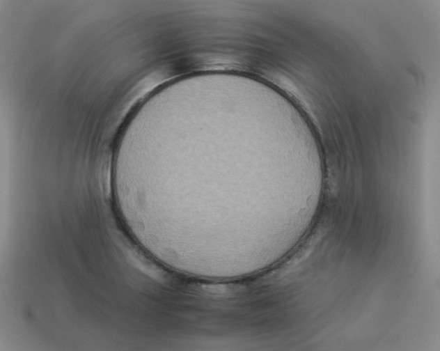 X0000113291227200910131019