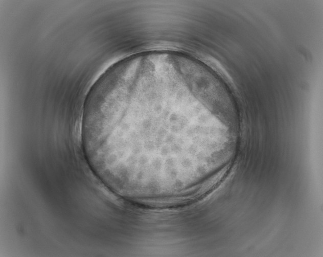 X0000113291228200910131019