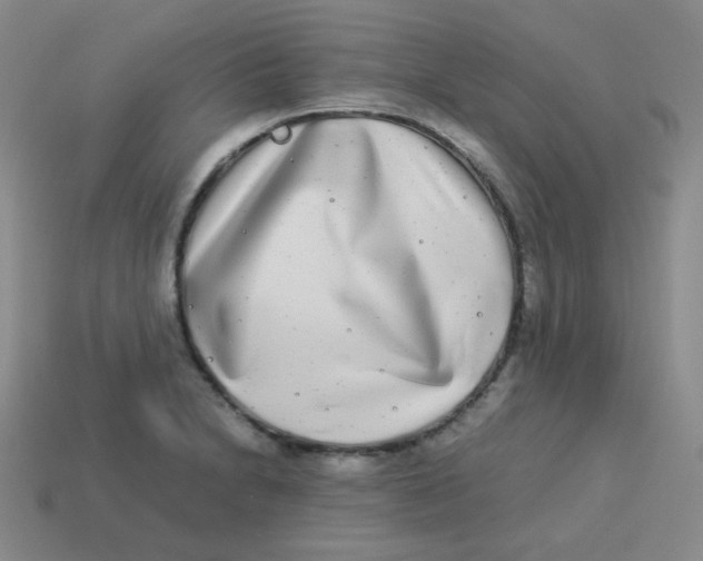 X0000113291230200910131020