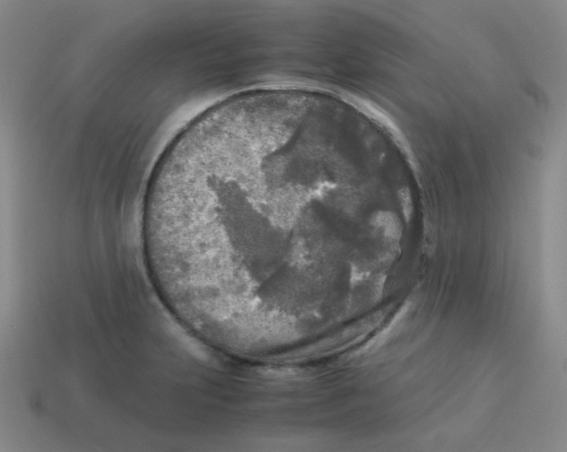 X0000113291231200910131020