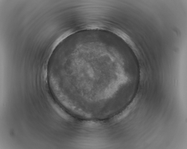 X0000113291234200910131020