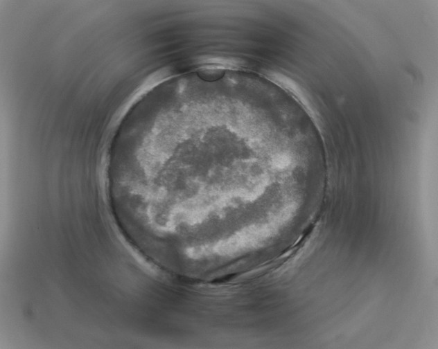 X0000113291235200910131020
