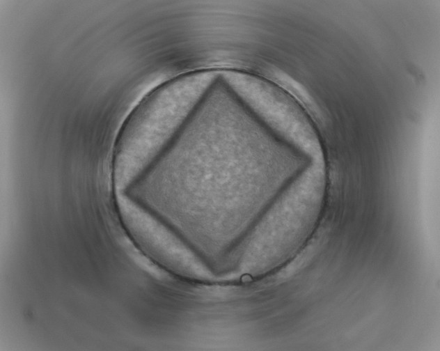 X0000113291236200910131020