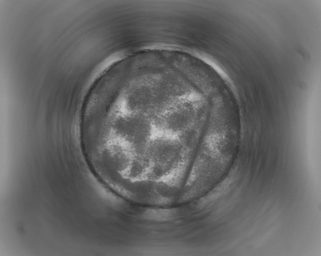 X0000113291237200910131020
