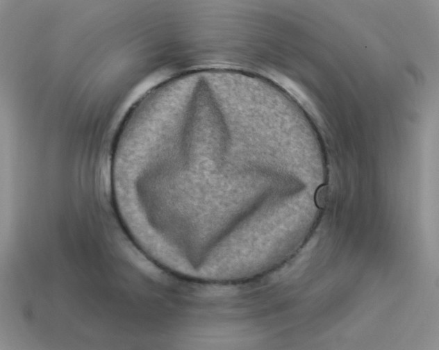 X0000113291238200910131020