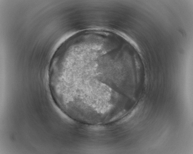 X0000113291239200910131020
