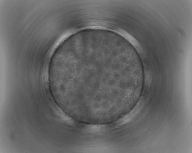 X0000113291240200910131020