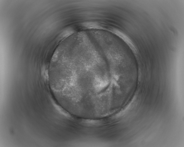 X0000113291241200910131020