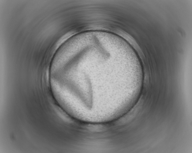 X0000113291242200910131020