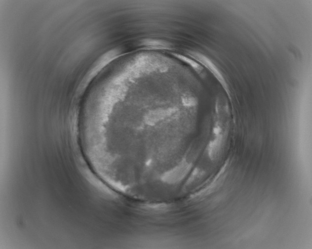 X0000113291243200910131020