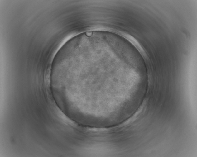 X0000113291244200910131020