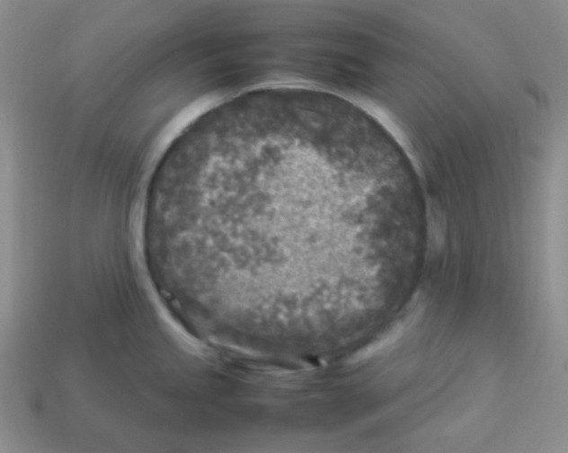 X0000113291245200910131020