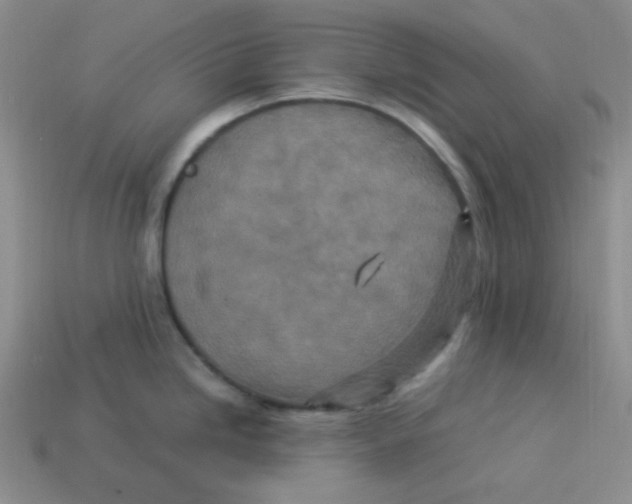 X0000113291246200910131020