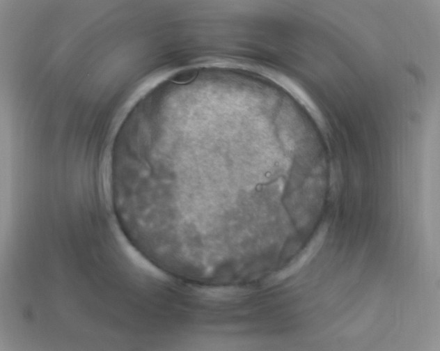 X0000113291247200910131020
