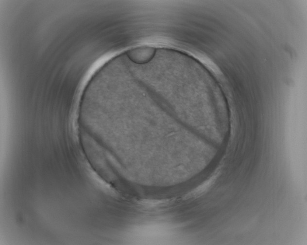 X0000113291248200910131020