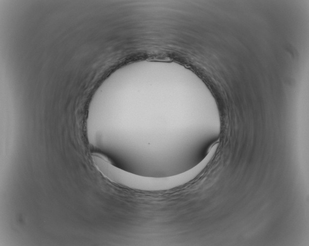 X0000113291249200910131019