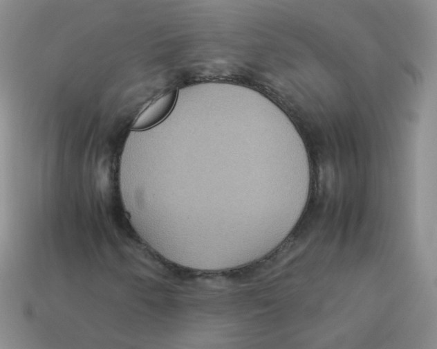 X0000113291250200910131019
