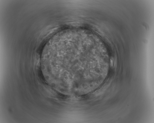 X0000113291251200910131019