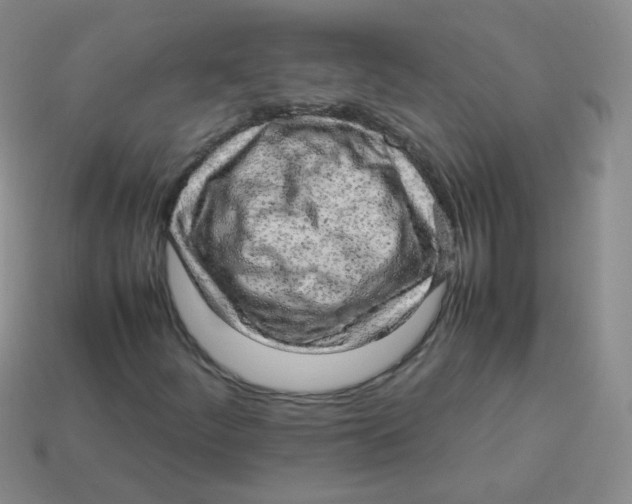 X0000113291252200910131019
