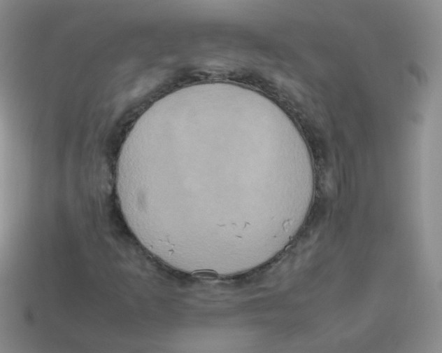 X0000113291253200910131019