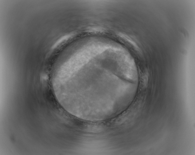 X0000113291254200910131019