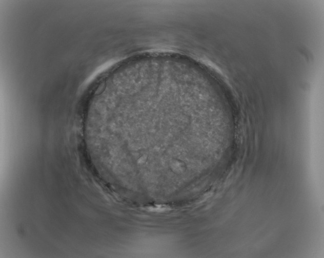 X0000113291255200910131019