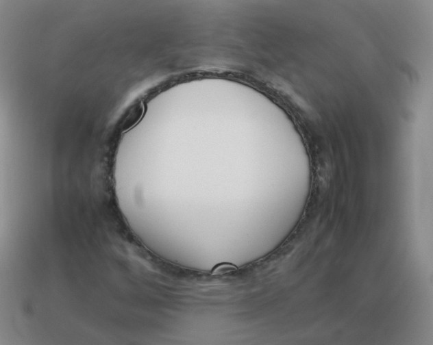 X0000113291256200910131019