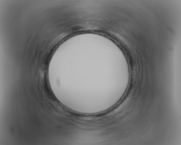 X0000113291257200910131019