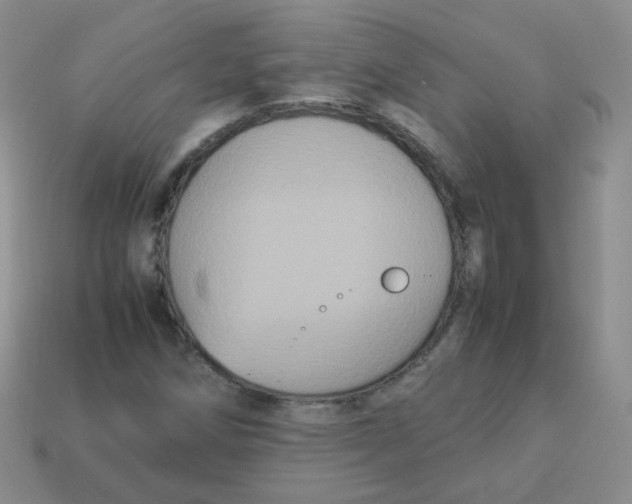 X0000113291258200910131019