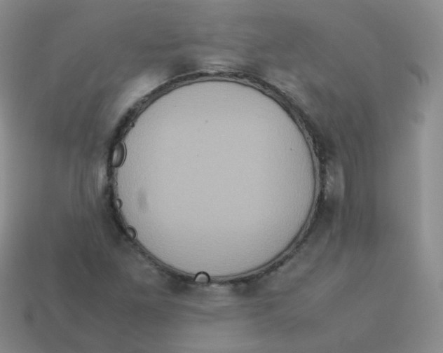 X0000113291261200910131019
