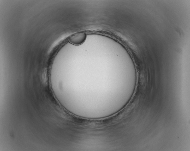 X0000113291262200910131019