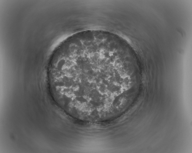 X0000113291263200910131019