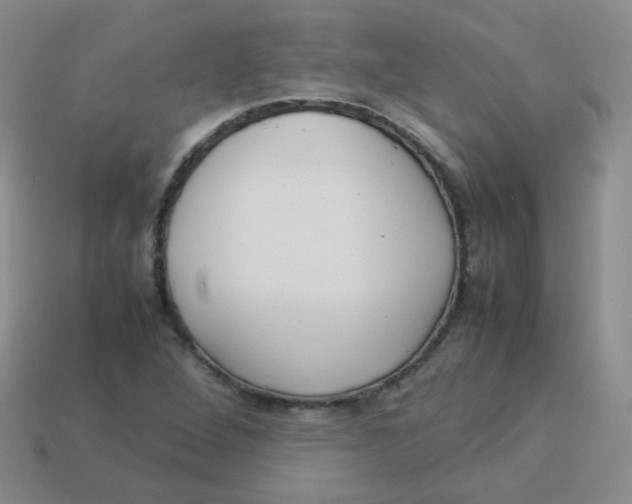 X0000113291264200910131019